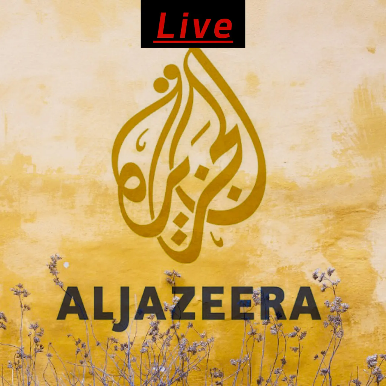 Al Jazeera news live